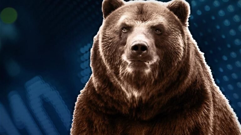 bears